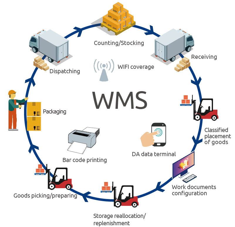 warehouse management system case study ppt